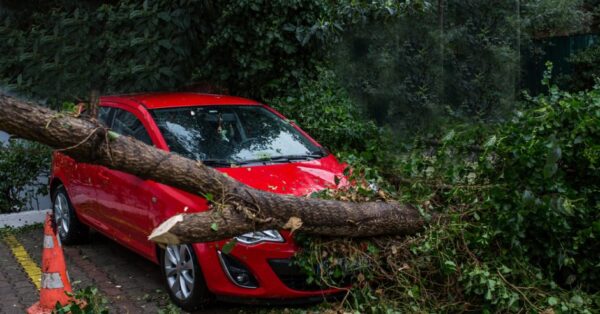 shutterstock_685611820 shutterstock_685611820